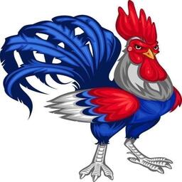 Avatar du membre